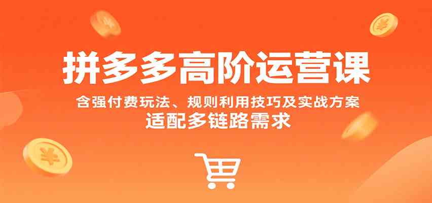 拼多多高阶运营课，含强付费玩法、规则利用技巧及实战方案，适配多链路需求-致富学堂