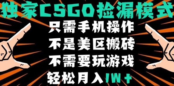 CSGO自动捡漏项目，最新独家玩法，不是美区搬砖，不需要了解和玩游戏，新手小白轻松月入1W+【揭秘】-致富学堂