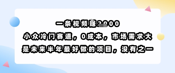 一条视频挣1k，小众冷门赛道，0成本，市场需求大，是未来半年最好做的项目，没有之一-致富学堂