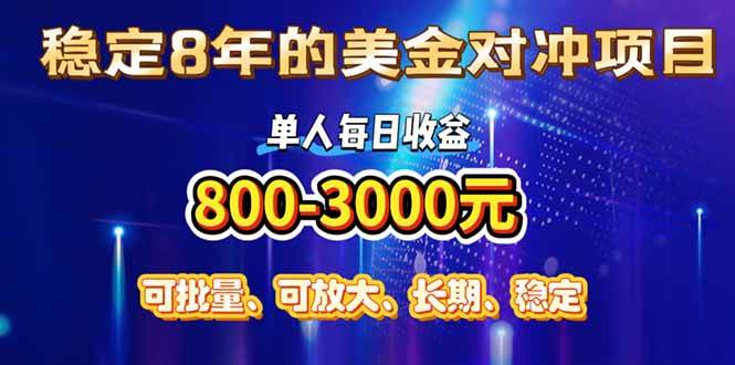 （15782期）稳定8年的美金对冲创业项目，单人每日收益800-3000，小众暴力项目-致富学堂