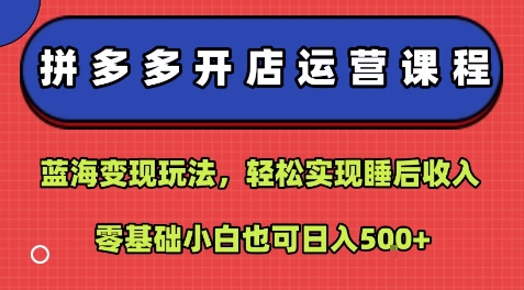 拼多多开店运营课程：蓝海变现玩法，轻松实现睡后收入，零基础小白也可日入5张-致富学堂
