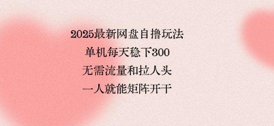 2025最新网盘自撸玩法，单机每天稳下3张，无需流量和拉人头，一个人就可轻松矩阵，全网独一份【揭秘】-致富学堂