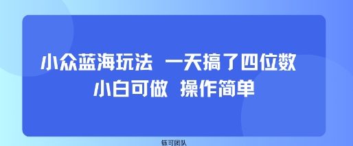 小众蓝海玩法 一天搞了四位数 小白可做 操作简单-致富学堂