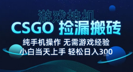 8月最新游戏搬砖，CSGO纯挂G，不需要玩游戏，实现真挂G，月入1W+【揭秘】-致富学堂