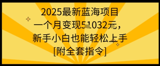 2025最新蓝海项目一个月变现1w+新手小白也能轻松上手【附全套指令】-致富学堂