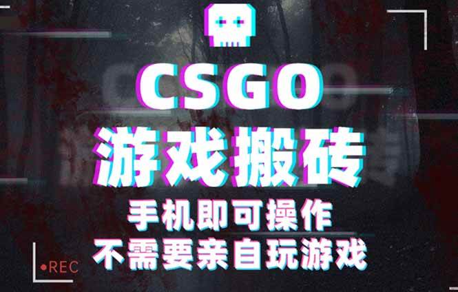 （16090期）CSGO游戏挂机捡漏，单日扫货500+，年底小高峰上车可吃肉，手机即可操作…-致富学堂