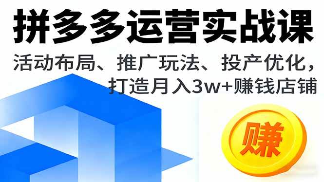 （16135期）拼多多运营实战课，活动布局、推广玩法、投产优化，打造月入3w+赚钱店铺-致富学堂