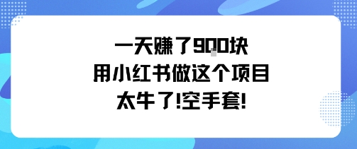 一天挣了9张用小红书做这个项目太牛了，空手套-致富学堂