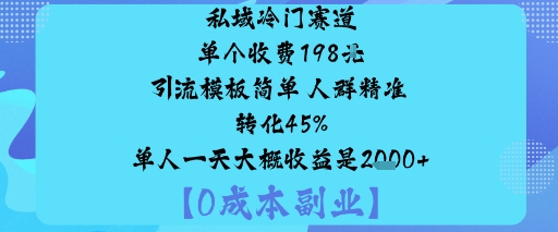 私域冷门赛道:单个收费198米引流模板简单人群精准转化45%单人一天大概收益是1k+-致富学堂