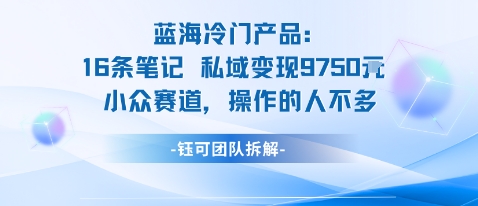 蓝海项目：16条笔记私域变现9750米小众赛道操作的人不多-致富学堂