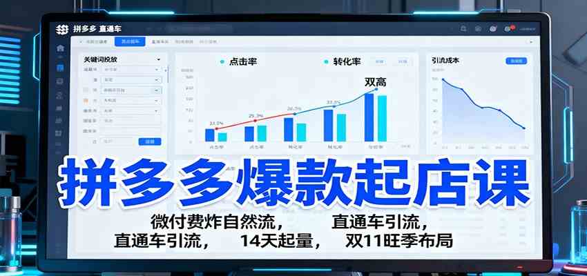 拼多多爆款起店课：微付费炸自然流，直通车引流，14天起量，双11旺季布局-致富学堂