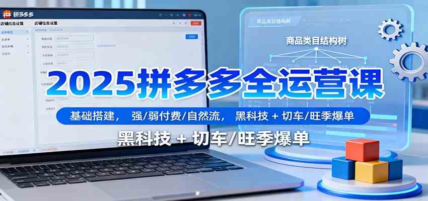 2025拼多多全运营课：基础搭建，强/弱付费/自然流，黑科技 + 切车/旺季爆单-致富学堂