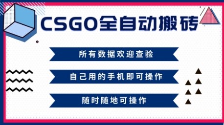 CSGO全自动搬砖，年底钱回家好项目，当天可拿到结果，新手小白轻松月入1W+【揭秘】-致富学堂