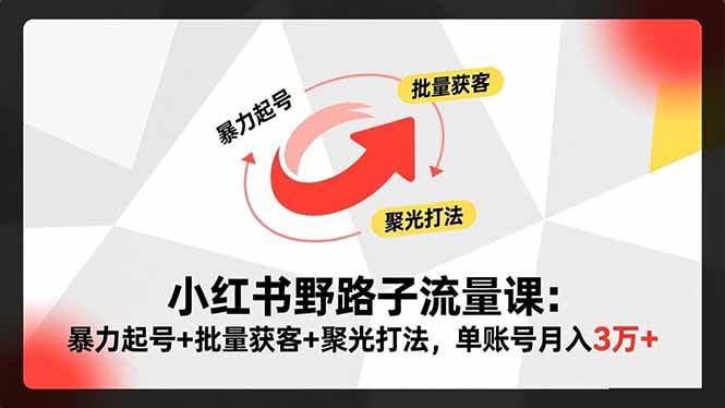 （16513期）小红书野路子流量课：暴力起号+批量获客+聚光打法，单账号月入3万+-致富学堂