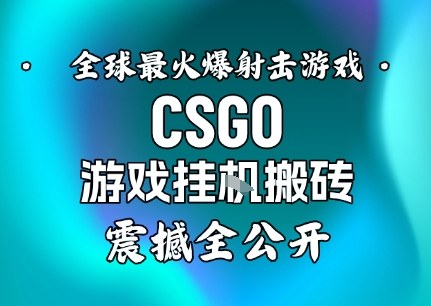 【年底大揭秘】基于全球最火爆的射击CSGO游戏挂G搬砖，日入5张+，震撼公开-致富学堂