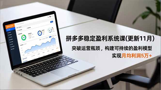 （16641期）拼多多稳定盈利系统课(更新11月)，突破运营瓶颈，构建可持续的盈利模型，实现月均利润5万+-致富学堂