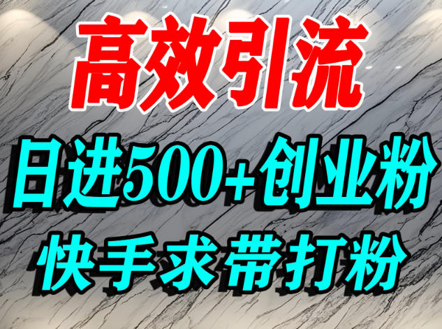 怎么打创业粉？快手求带视角精准引流创业粉，宝妈、学生群体日进500+精准流量-致富学堂