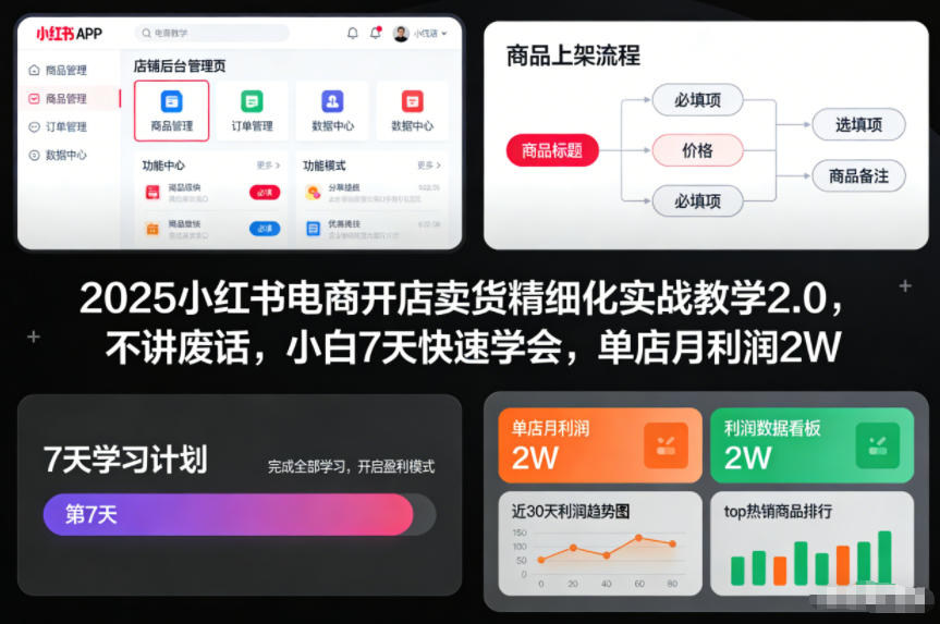 2025小红书电商开店卖货精细化实战教学2.0，不讲废话，小白7天快速学会，单店月利润2W-致富学堂