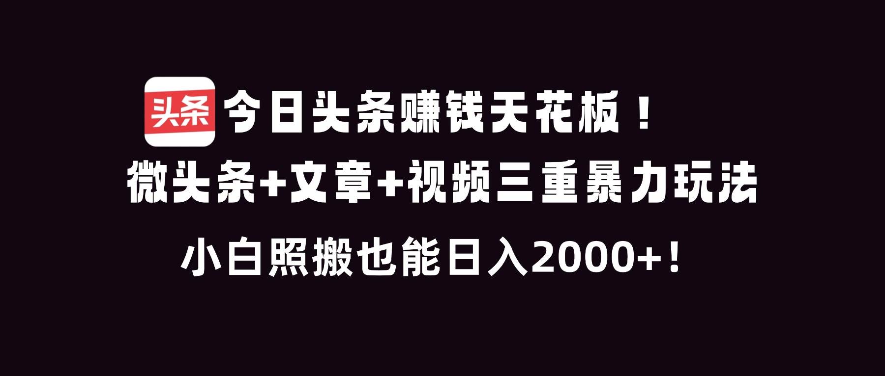 （16888期）今日头条赚钱天花板！微头条+文章+视频三重暴利玩法，小白照搬也能日人2000+-致富学堂