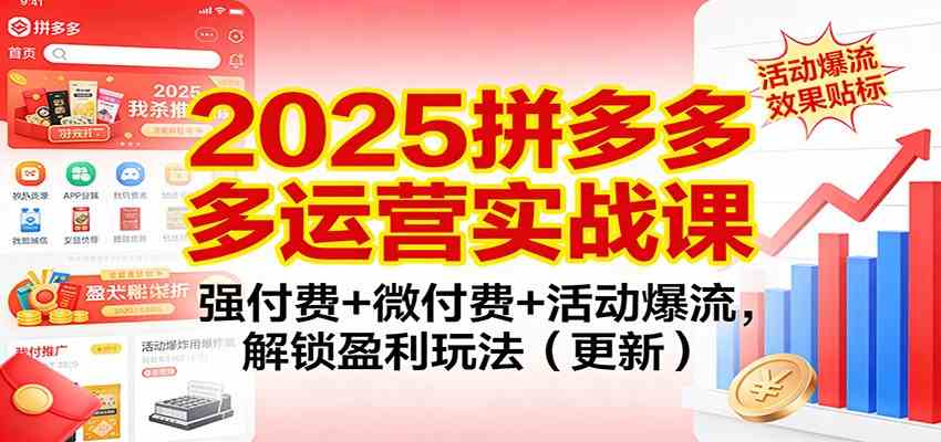 2025拼多多运营实战课：强付费+微付费+活动爆流，解锁盈利玩法（更新）-致富学堂